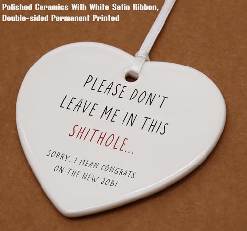 Please Don't Leave Me in This Shithole-Colleague Promotion,Farewell,Retirement,Goodbye,Leaving New Job Gifts for Coworker Boss Leader Teacher-Appreciate Heart Shaped Ornament