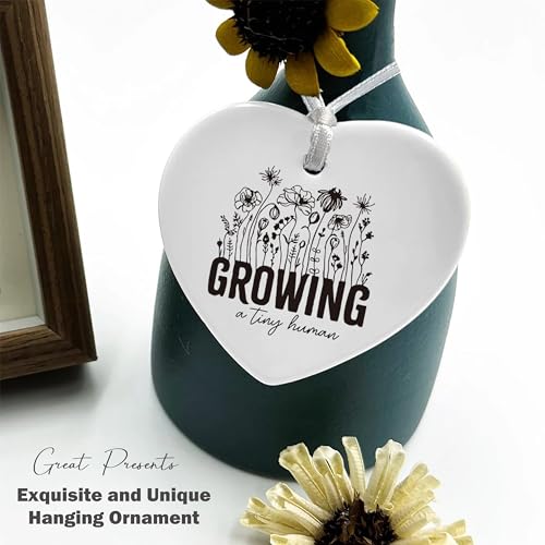 Baby Gender Reveal Gift-Pregnancy Announcement Gift-Growing a Tiny Human-New Mom Gift-Pregnant Mom Gift,Mom to Be Gifts,Expectant Mom Gifts-Baby Coming Soon-Heart Shaped Ornament