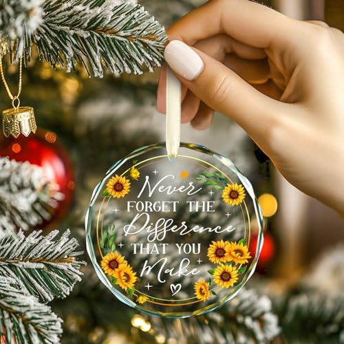 Never Forget The Difference That You Make Glass Ornament 2025 - Coworker Gifts for Women - Going Away, Farewell, Goodbye, Appreciation, Retirement Gifts for Coworkers Women, Men, Boss, Friend