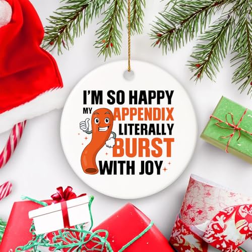 So Happy My Appendix Burst - Appendectomy Christmas Ornament Appendix Ornament Appendix Christmas Ornament Hanging Ornament for Home Decor, Ceramic Ornaments