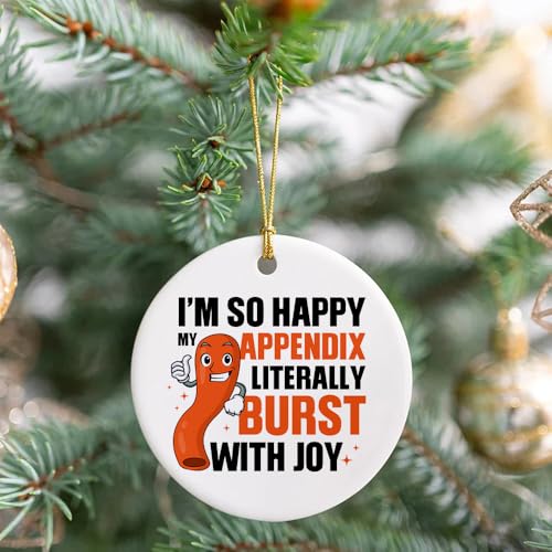 So Happy My Appendix Burst - Appendectomy Christmas Ornament Appendix Ornament Appendix Christmas Ornament Hanging Ornament for Home Decor, Ceramic Ornaments