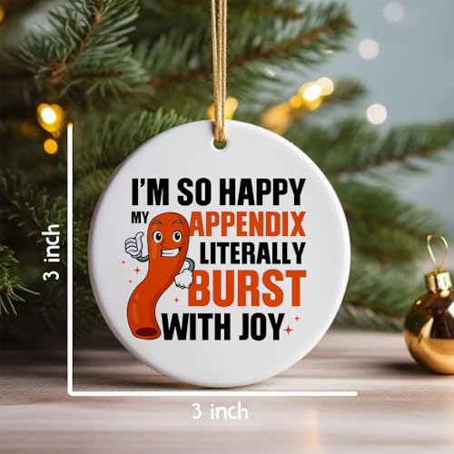 So Happy My Appendix Burst - Appendectomy Christmas Ornament Appendix Ornament Appendix Christmas Ornament Hanging Ornament for Home Decor, Ceramic Ornaments