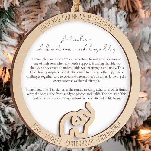 Best Friend Birthday Gifts for Women, Friendship Elephant Ornament with Story Card, Friendship Gifts for Women, Birthday Presents for Best Friends Sisters Special Bond Decor (Loyalty)