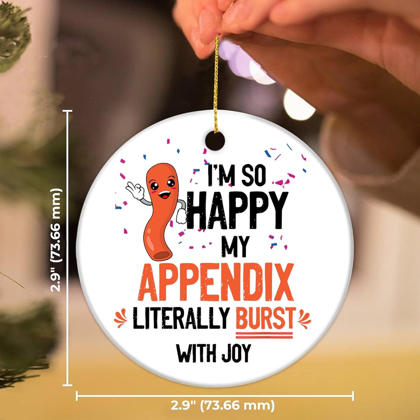 SODAVA - Appendix Ornament Appendix Christmas Ornament Appendix Surgery Christmas Ornament Appendectomy Christmas Ornament Gifts for Coworkers, Xmas Ornaments Ceramic Ornaments