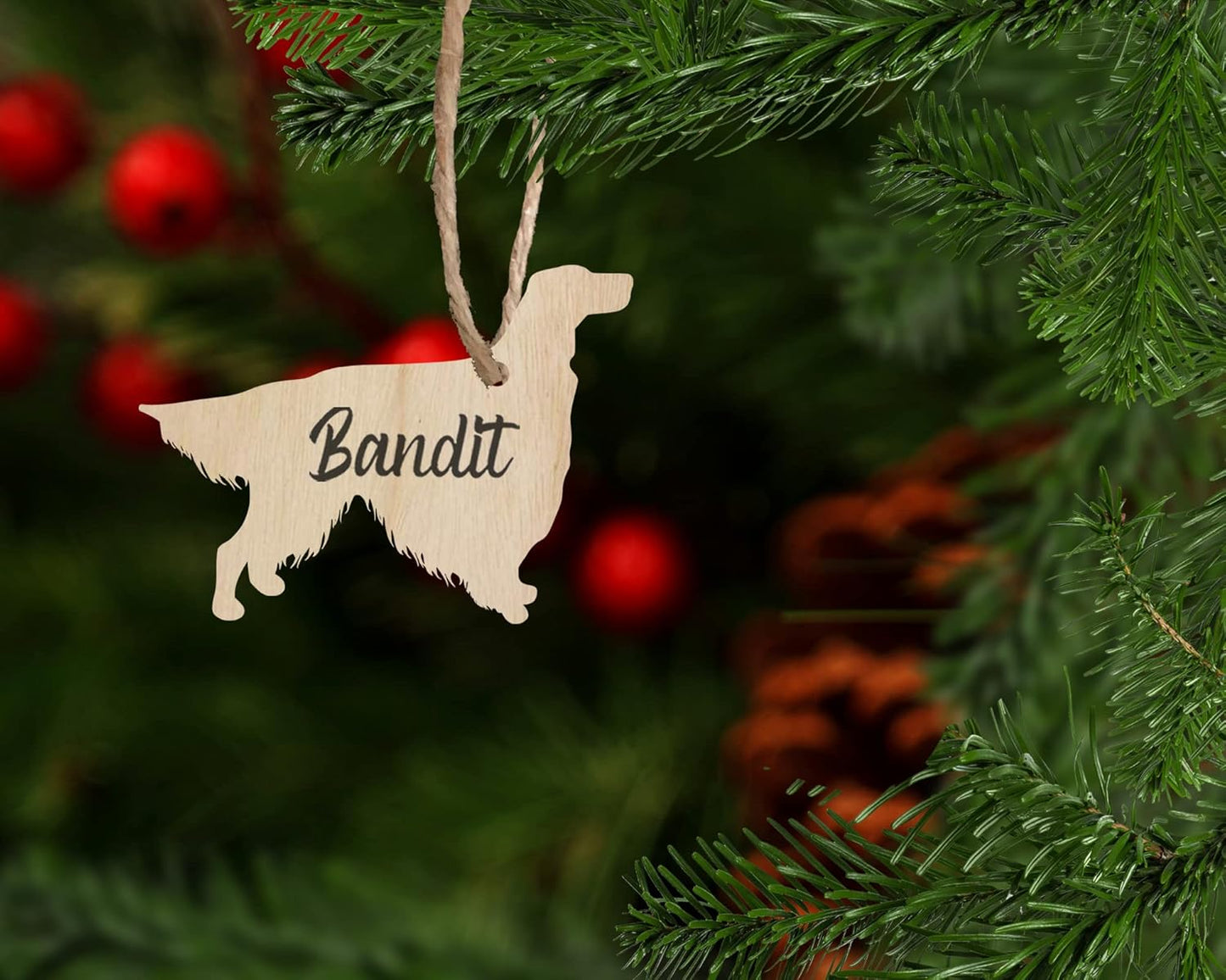 Ornament 63