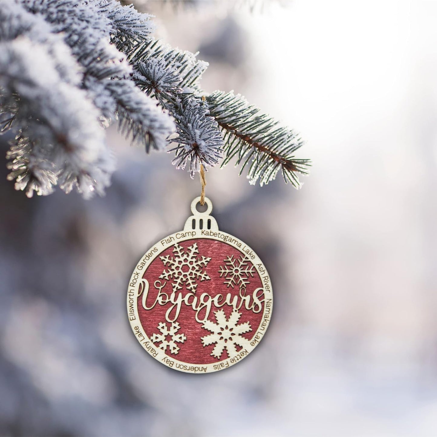 Ornament 51