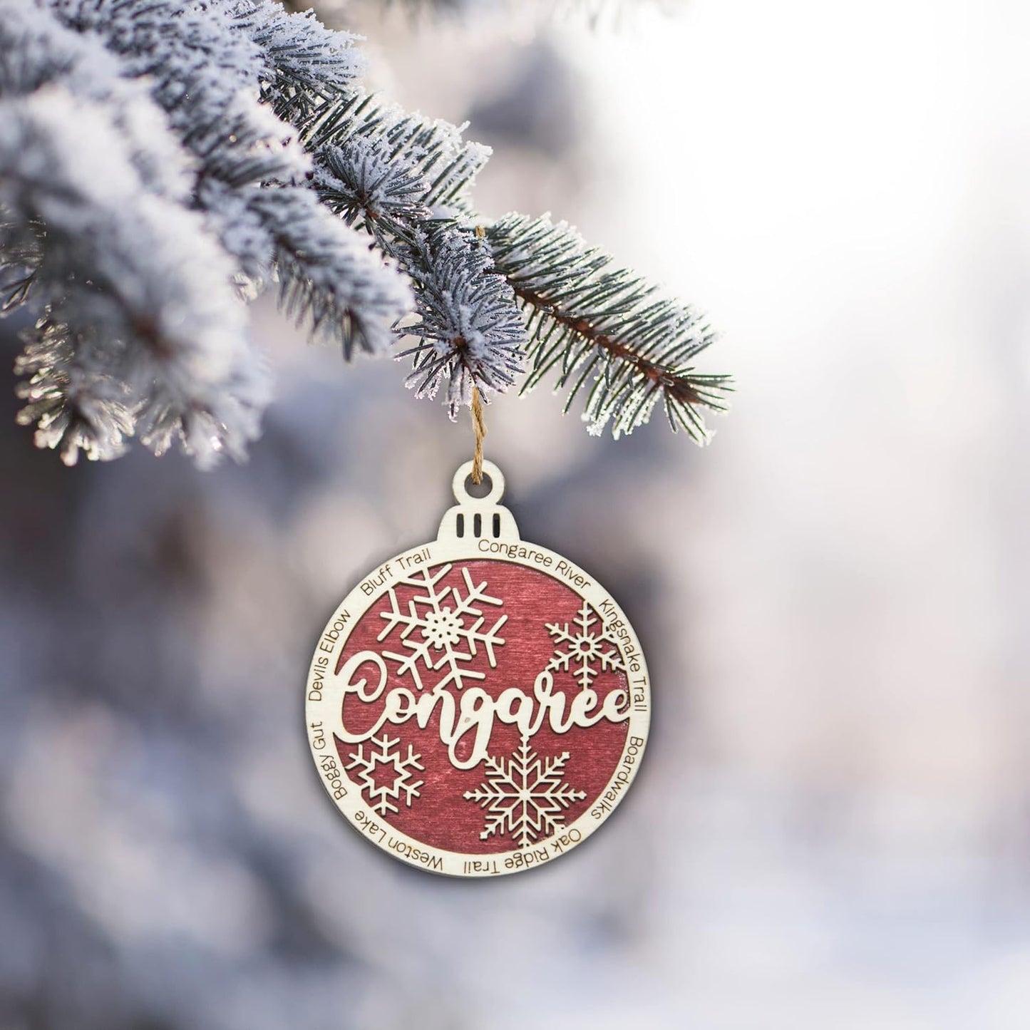 Ornament 37