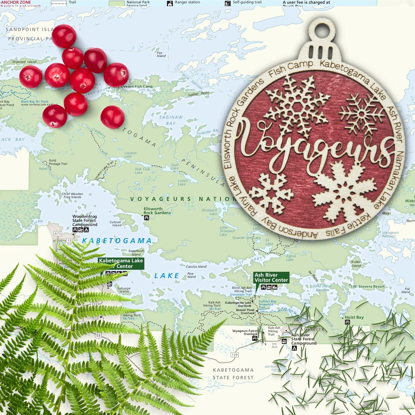 Ornament 51