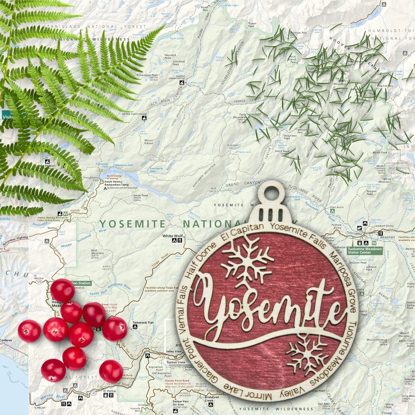 Ornament 42