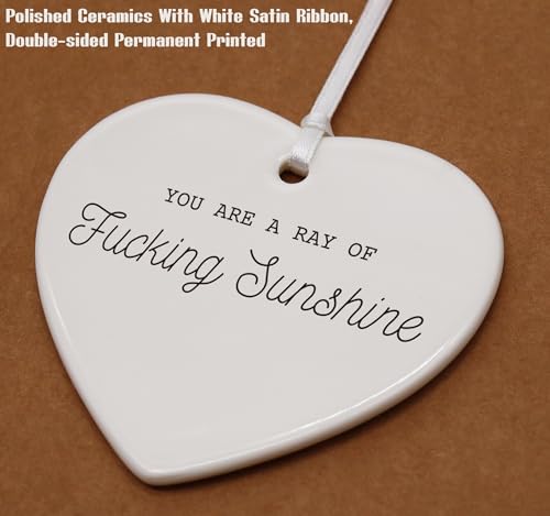 You are a Ray of Sunshine Ceramic Heart Shaped Ornament - Funny Inspirational Quotes & Positive Motivational Gifts, Encouragement Gifts