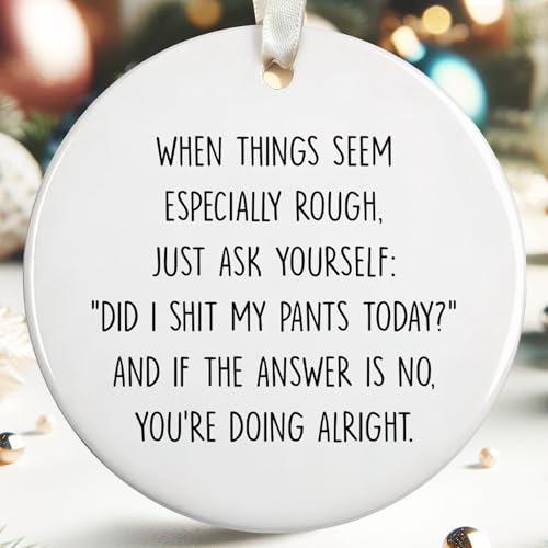 Funny Christmas Ornaments - Funny Gifts for Xmas - Christmas Keepsake for Women, Men, Friends, Coworkers - Ceramic Ornament