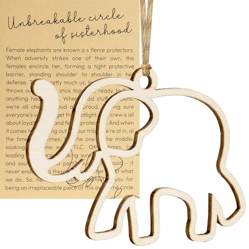 Friendship Elephant Ornament with Story Card, Sisterhood Gifts for Women Tribe, Heartfelt Mom Gifts for Best Friends Sisters, Special Bond Decor, Friendship Pressents for Women (Sisterhood)
