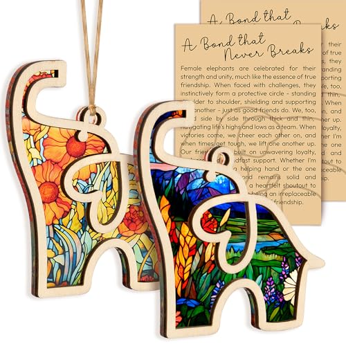 Best Friend Birthday Gifts for Women, Friendship Elephant Ornament with Story Card, Friendship Gifts for Women, Birthday Presents for Best Friends Sisters Special Bond Decor (Set 2 Suncatcher)