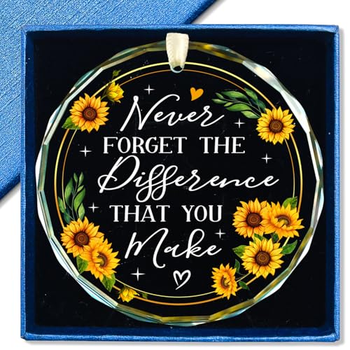 Never Forget The Difference That You Make Glass Ornament 2025 - Coworker Gifts for Women - Going Away, Farewell, Goodbye, Appreciation, Retirement Gifts for Coworkers Women, Men, Boss, Friend