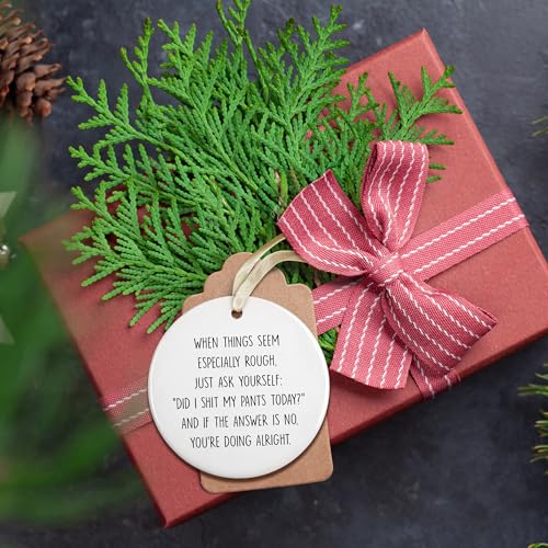 Funny Christmas Ornaments - Funny Gifts for Xmas - Christmas Keepsake for Women, Men, Friends, Coworkers - Ceramic Ornament