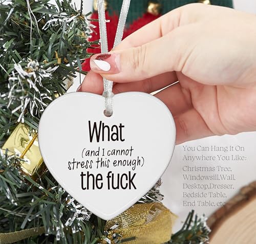 What The Fuck-Motivational Saying-Funny Ornament Decor-Sarcastic Gift-Funny WTF Sarcastic-and I Cannot Stress This Enough-What The Eff-Dark Humor-Funny Heart Shaped Ornament Decor Gifts