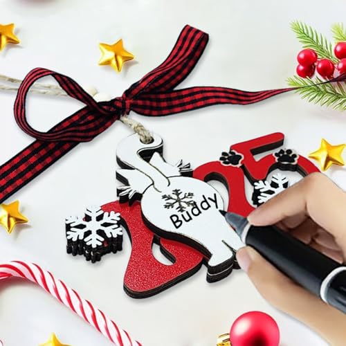 Cat Christmas Ornaments 2025, Funny Ornament for Christmas Tree, Wooden Cute Unique Ornaments Decor - Cat Lover Gifts for Women, Crazy Lady, Owner
