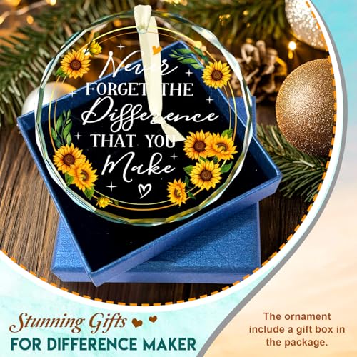 Never Forget The Difference That You Make Glass Ornament 2025 - Coworker Gifts for Women - Going Away, Farewell, Goodbye, Appreciation, Retirement Gifts for Coworkers Women, Men, Boss, Friend