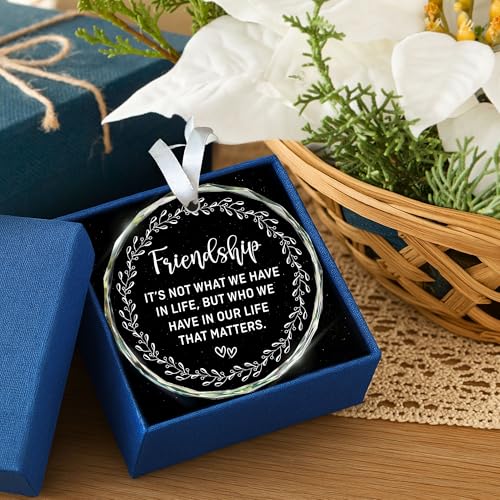 HEXMOZ Best Friend Ornaments for Women - Friends Gifts 2025 - Friendship Gifts for Friend Female, BFFs, Besties, Soul Sisters, Friends Group Christmas Tree Decoration - Friendship Glass Ornament