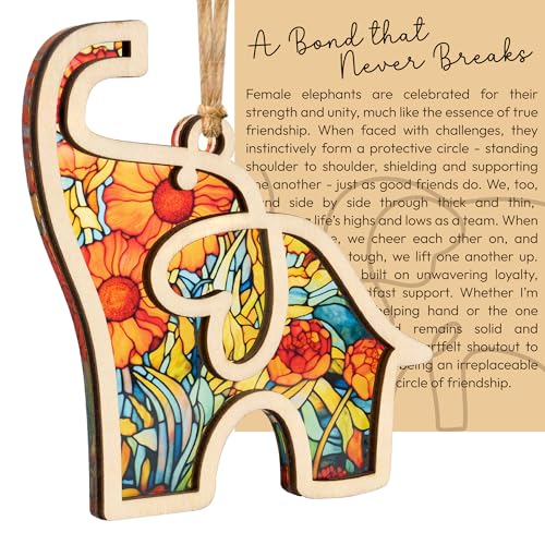 Best Friend Birthday Gifts for Women, Friendship Elephant Ornament with Story Card, Friendship Gifts for Women, Birthday Presents for Best Friends Sisters Special Bond Decor, Suncatcher