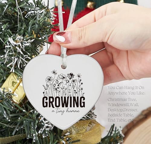 Baby Gender Reveal Gift-Pregnancy Announcement Gift-Growing a Tiny Human-New Mom Gift-Pregnant Mom Gift,Mom to Be Gifts,Expectant Mom Gifts-Baby Coming Soon-Heart Shaped Ornament