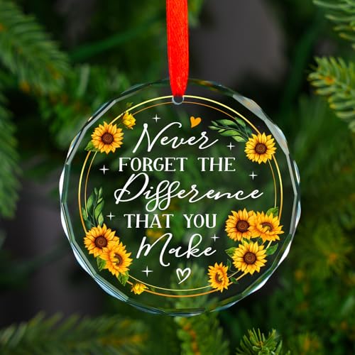 Never Forget The Difference That You Make Glass Ornament 2025 - Coworker Gifts for Women - Going Away, Farewell, Goodbye, Appreciation, Retirement Gifts for Coworkers Women, Men, Boss, Friend