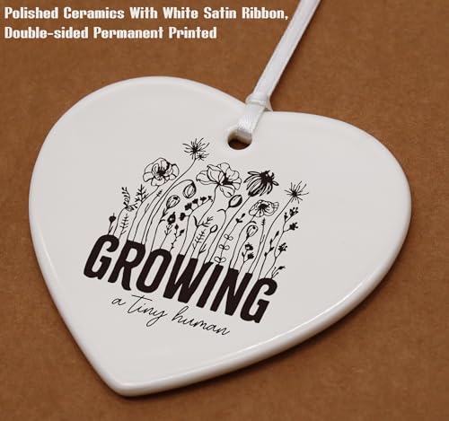 Baby Gender Reveal Gift-Pregnancy Announcement Gift-Growing a Tiny Human-New Mom Gift-Pregnant Mom Gift,Mom to Be Gifts,Expectant Mom Gifts-Baby Coming Soon-Heart Shaped Ornament