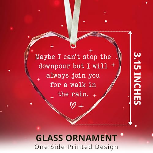 Friendship Gifts for Women Friends - Gifts for Friends Female - Best Friend Christmas Ornaments - Friendship Christmas Ornaments - Besties Ornament - Glass Hanging Ornament