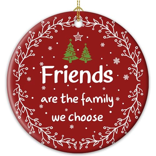 ZAGKOO Best Friend Ornaments for Women for Friends, Friendship Gifts for Friend Female, BFFs, Besties, Soul Sister, Work Friends Group - Keepsake Christmas Tree Decoration 2025