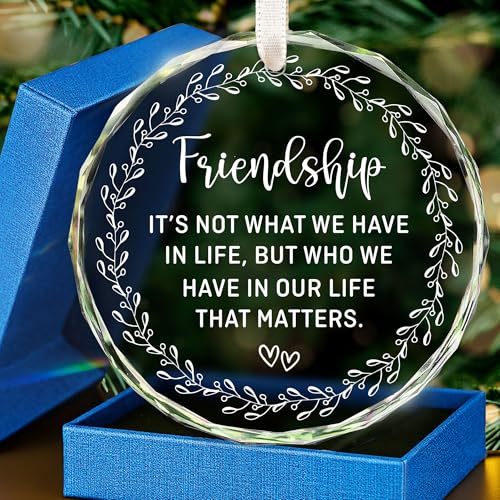 HEXMOZ Best Friend Ornaments for Women - Friends Gifts 2025 - Friendship Gifts for Friend Female, BFFs, Besties, Soul Sisters, Friends Group Christmas Tree Decoration - Friendship Glass Ornament
