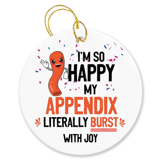 SODAVA - Appendix Ornament Appendix Christmas Ornament Appendix Surgery Christmas Ornament Appendectomy Christmas Ornament Gifts for Coworkers, Xmas Ornaments Ceramic Ornaments