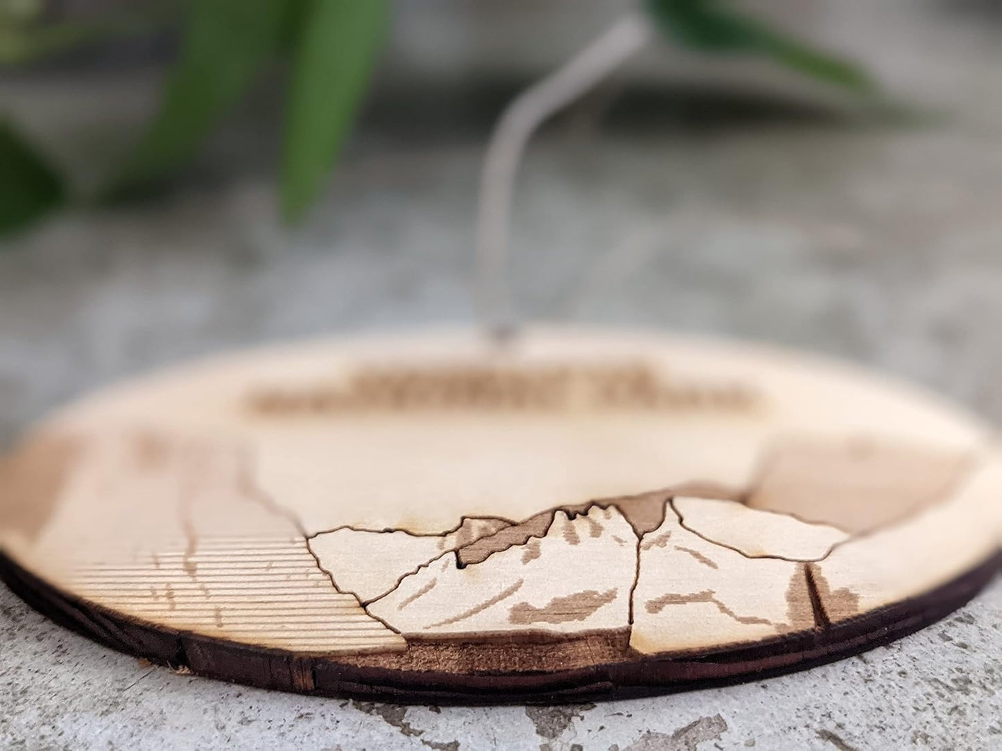 Ornament 54