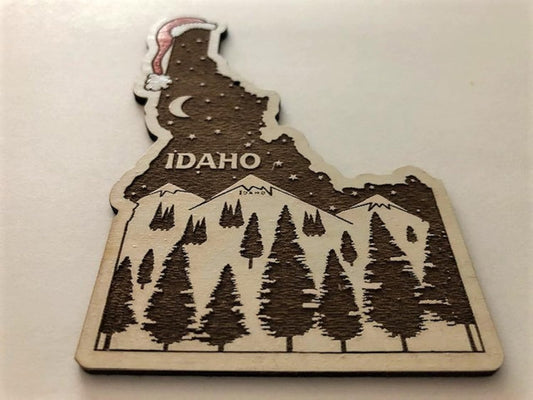 Ornament 23