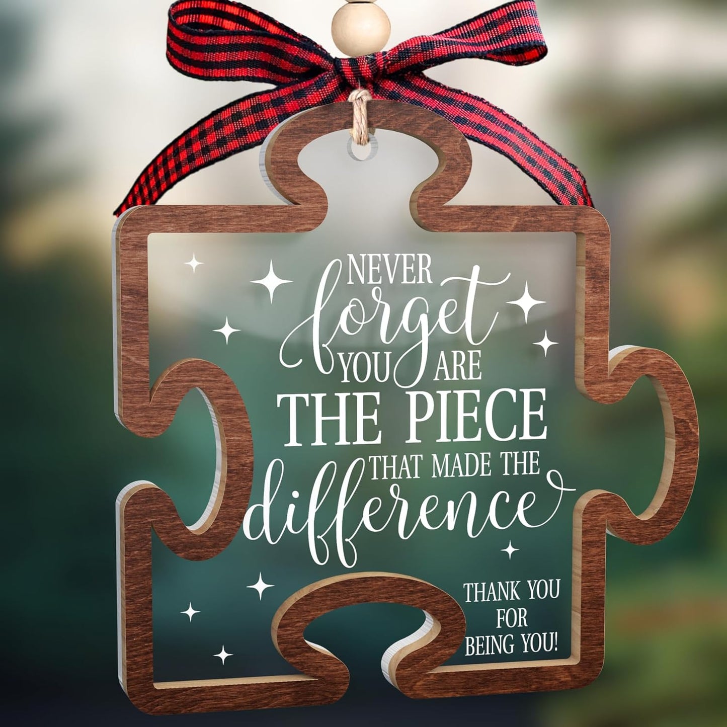 Thank You Gifts - Teacher Appreciation Gifts - Nurses Week Gift - Appreciation Gift for Employee, Coworker, Friend, Boss, Nurse - 2 Layer Wood Acrylic Ornament