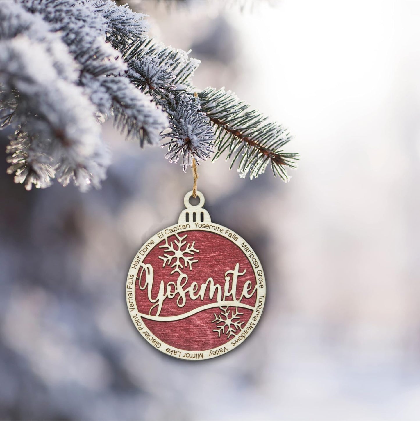 Ornament 42