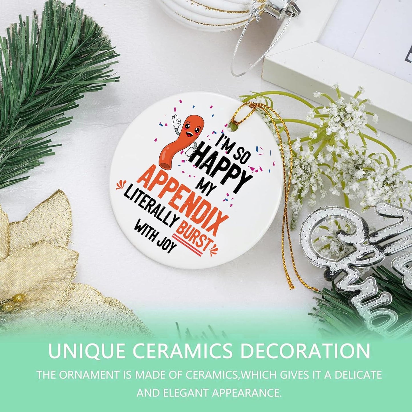 SODAVA - Appendix Ornament Appendix Christmas Ornament Appendix Surgery Christmas Ornament Appendectomy Christmas Ornament Gifts for Coworkers, Xmas Ornaments Ceramic Ornaments